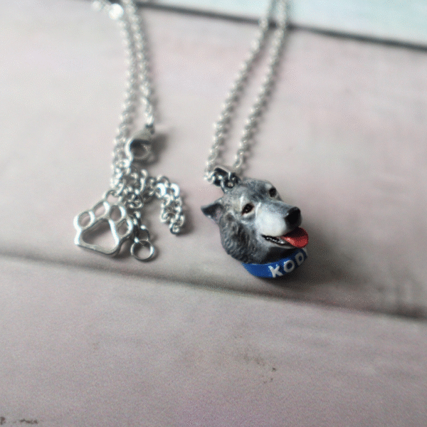 LovelyPet Lite - Imagen 5