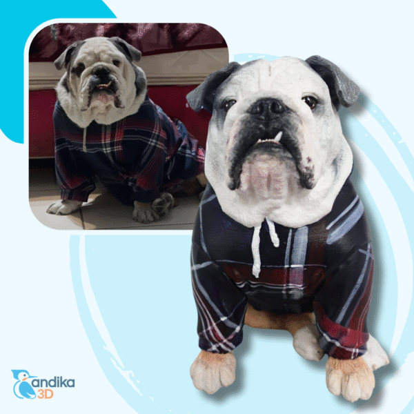 MegaPet Premium - Imagen 5