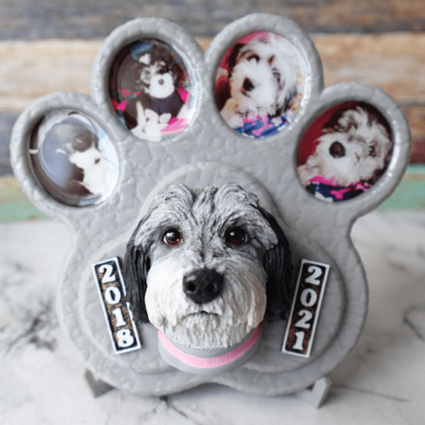 MemoryPet Lite - Imagen 5