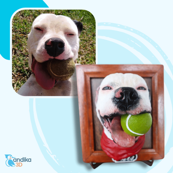 Retrato3D Premium - Imagen 2