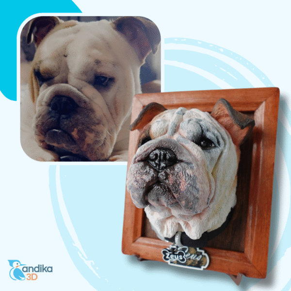 Retrato3D Premium - Imagen 4