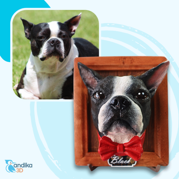 Retrato3D Premium - Imagen 3