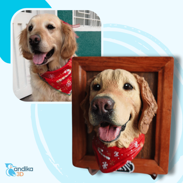 Retrato3D Premium - Imagen 7