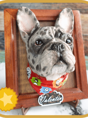 Retrato3D Premium
