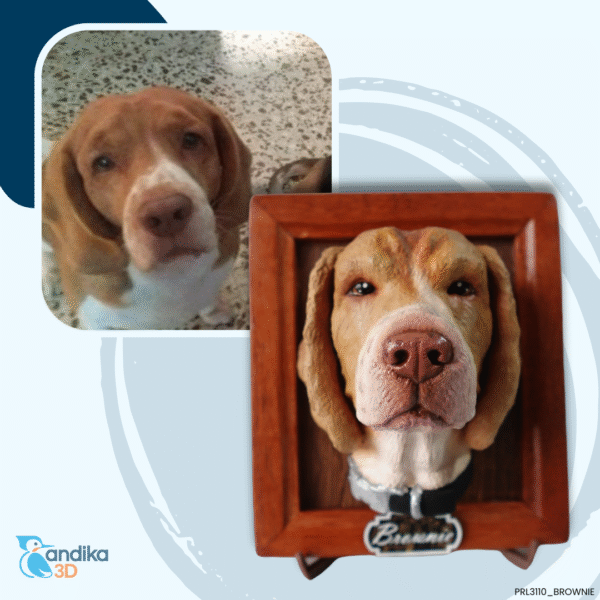 Retrato3D Lite - Imagen 5