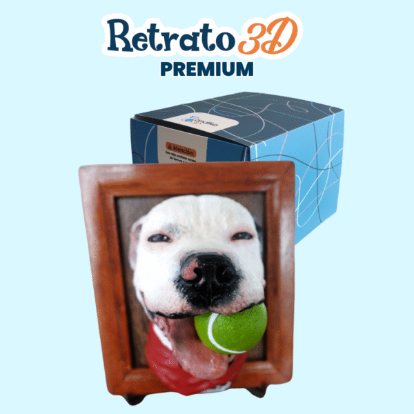 Retrato3D Premium - Imagen 9