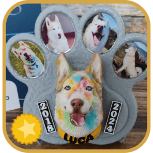 MemoryPet Premium
