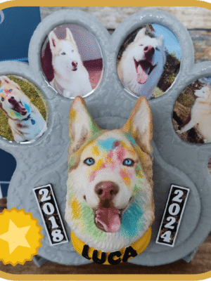 MemoryPet Premium