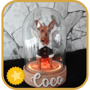 LumiPet Premium
