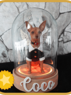 LumiPet Premium