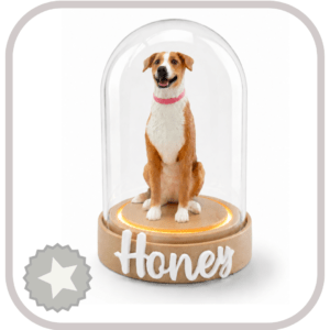 LumiPet Lite